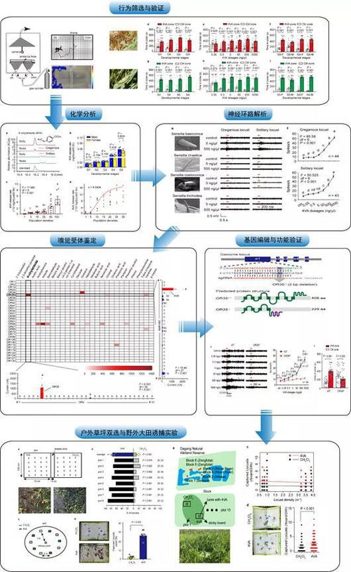 从信息系统集成视角看蝗灾成因 科学揭示与防治启示